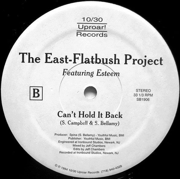 East Flatbush Project - A Madman's Dream / Can't Hold It Back (Vinyl, 12", 33 ⅓ RPM, Stereo) Very Good Plus (VG+) / Generic