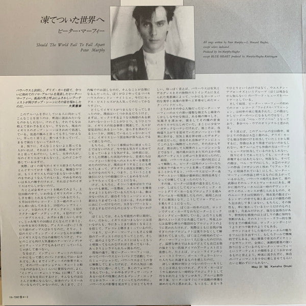 Peter Murphy - Should The World Fail To Fall Apart (Vinyl, LP, Album, Stereo) Very Good (VG) / Good Plus (G+)