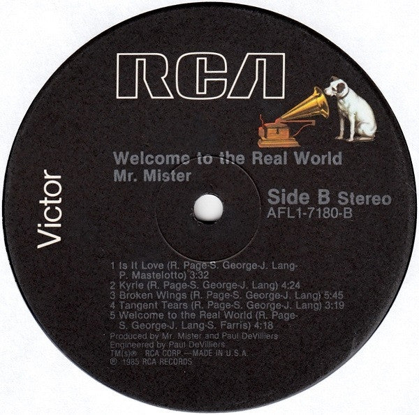 Mr. Mister - Welcome To The Real World (Vinyl, LP, Album, Reissue, Stereo) Very Good Plus (VG+) / Very Good (VG)