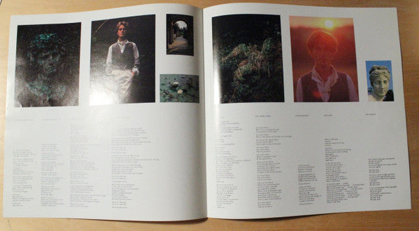 John Foxx - The Garden (Vinyl, LP, Album)