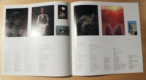 John Foxx - The Garden (Vinyl, LP, Album) Very Good (VG) / Very Good (VG)