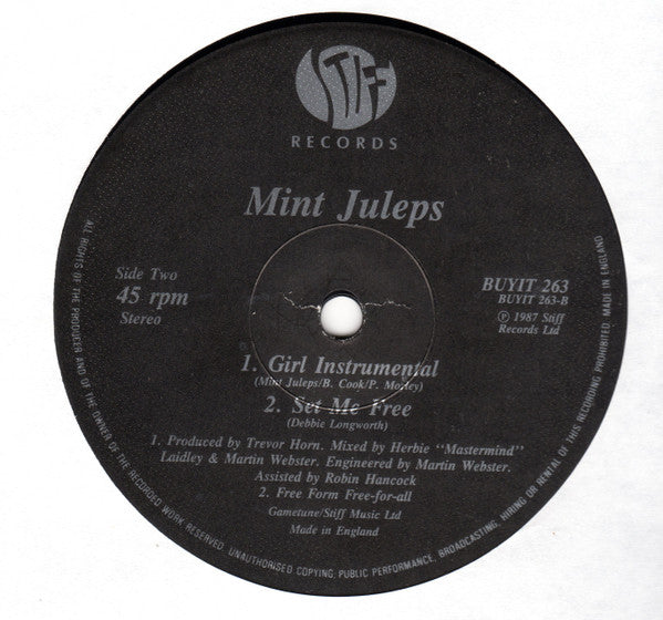 Mint Juleps - Girl To The Power Of 6 (Vinyl, 12") Very Good (VG) / Very Good Plus (VG+)