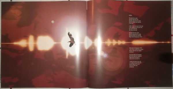 Kate Bush - Aerial (2xVinyl, LP, Album) Very Good Plus (VG+) / Near Mint (NM or M-)