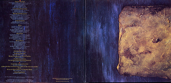 David Sylvian - Gone To Earth (2xVinyl, LP, Album) Very Good (VG) / Very Good (VG)