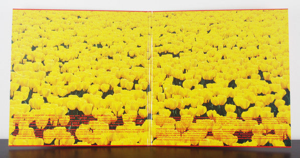 Denki Groove - A (2xVinyl, LP) Mint (M) / Near Mint (NM or M-)