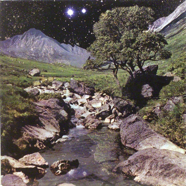 The Beta Band - The Beta Band (2xVinyl, LP, Album) Very Good (VG) / Very Good Plus (VG+)