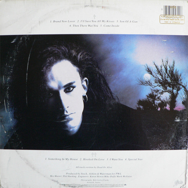 Dead Or Alive - Mad, Bad And Dangerous To Know (Vinyl, LP, Album, Stereo) Very Good (VG) / Very Good Plus (VG+)