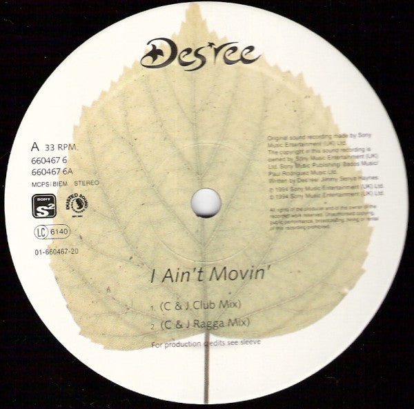 Des'ree - I Ain't Movin' (Vinyl, 12", 33 ⅓ RPM) Good Plus (G+) / Very Good Plus (VG+)