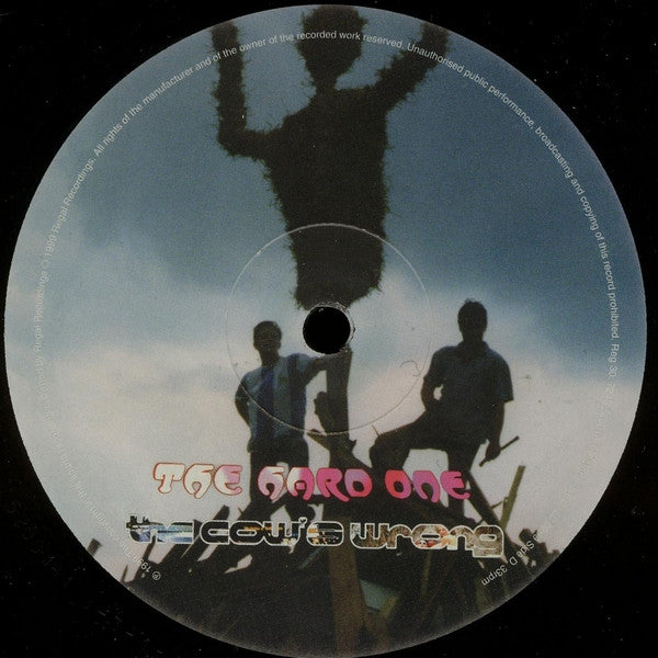 The Beta Band - The Beta Band (2xVinyl, LP, Album) Very Good (VG) / Very Good Plus (VG+)