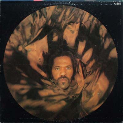 Fuzzy Haskins - A Whole Nother Thang (Vinyl, LP, Album, Stereo) Good Plus (G+) / Very Good (VG)