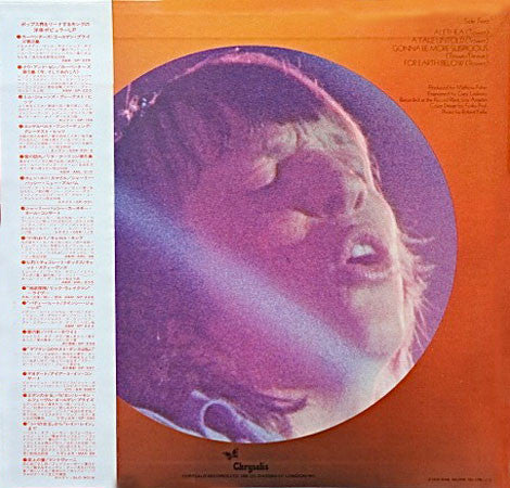 Robin Trower - For Earth Below (Vinyl, LP, Album)