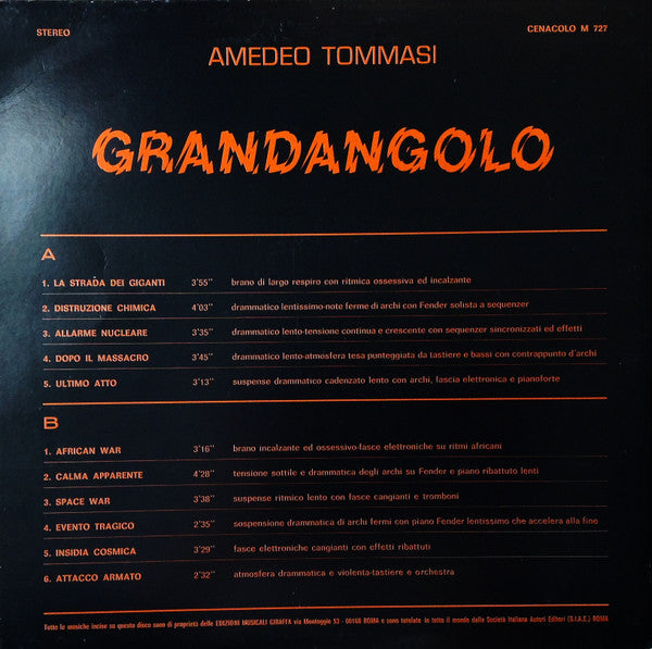 Amedeo Tommasi - Grandangolo (Vinyl, LP, Stereo) Very Good (VG) / Very Good Plus (VG+)