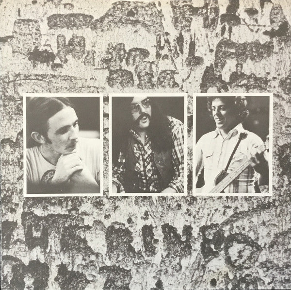 Rory Gallagher - Against The Grain (Vinyl, LP, Album, Limited Edition) Very Good Plus (VG+) / Very Good Plus (VG+)