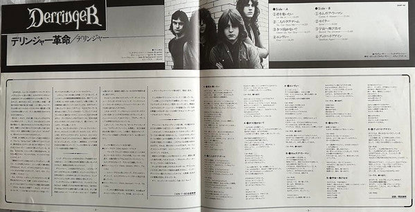 Derringer (2) - Derringer (Vinyl, LP, Album) Very Good Plus (VG+) / Very Good Plus (VG+)