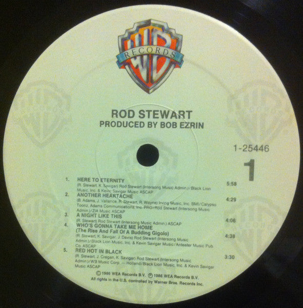Rod Stewart - Rod Stewart (Vinyl, LP, Album, Stereo) Very Good Plus (VG+) / Very Good Plus (VG+)