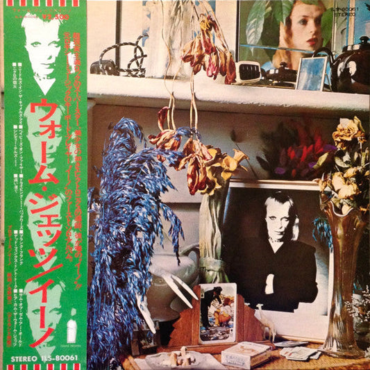 Brian Eno - Here Come The Warm Jets (Vinyl, LP, Album, Promo) Very Good Plus (VG+) / Very Good (VG)