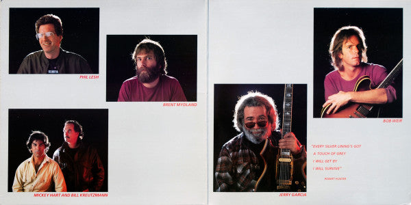 The Grateful Dead - In The Dark (Vinyl, LP, Album, Stereo) Very Good (VG) / Very Good Plus (VG+)