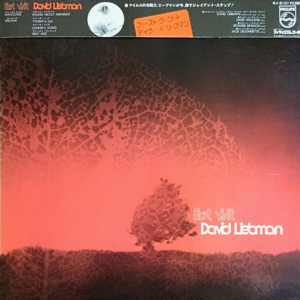 David Liebman - First Visit (Vinyl, LP, Album, Stereo) Very Good Plus (VG+) / Very Good (VG)