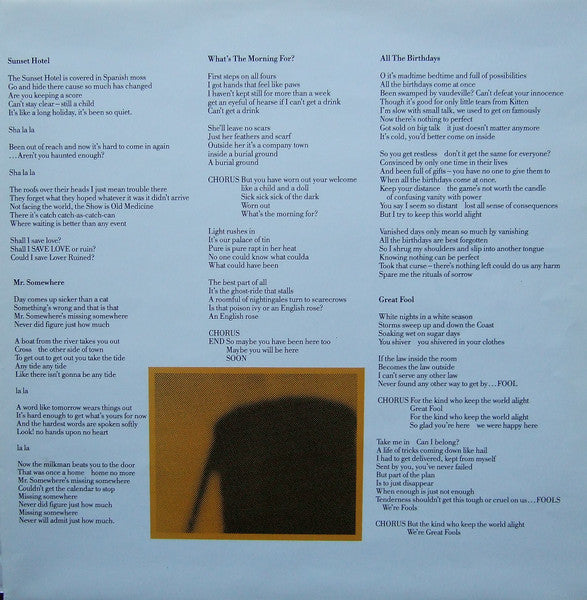 The Apartments - The Evening Visits....And Stays For Years (Vinyl, LP, Album) Very Good (VG) / Very Good Plus (VG+)