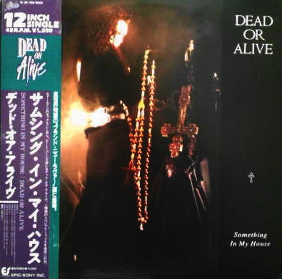 Dead Or Alive - Something In My House (Vinyl, 12", 45 RPM) Near Mint (NM or M-) / Very Good Plus (VG+)