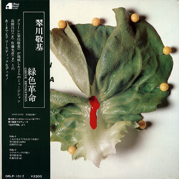 Keiki Midorikawa - Grüne Revolution = 緑色革命 (Vinyl, LP, Album)