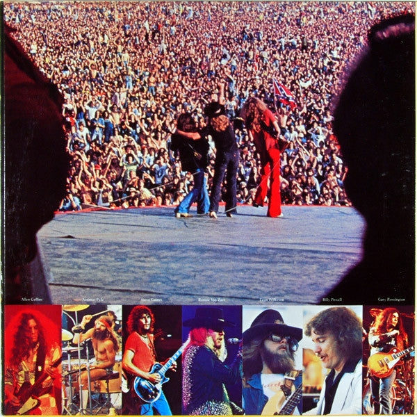 Lynyrd Skynyrd - Skynyrd's First And... Last (Vinyl, LP, Album) Good Plus (G+) / Very Good Plus (VG+)