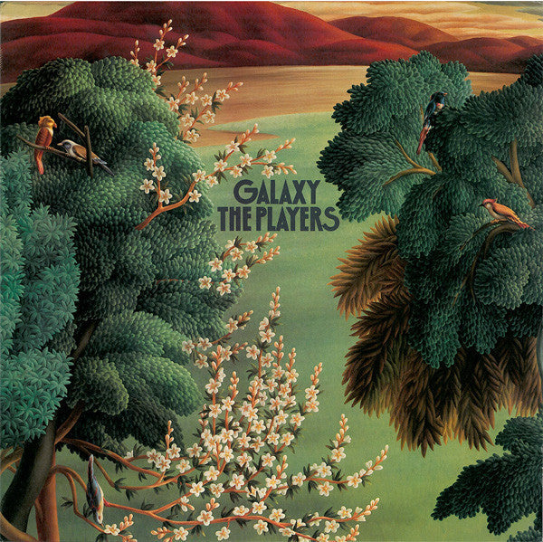 The Players - Galaxy (Vinyl, LP, Album, Stereo)
