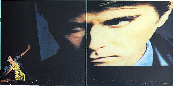 Bryan Ferry - The Bride Stripped Bare (Vinyl, LP, Album) Very Good (VG) / Very Good Plus (VG+)