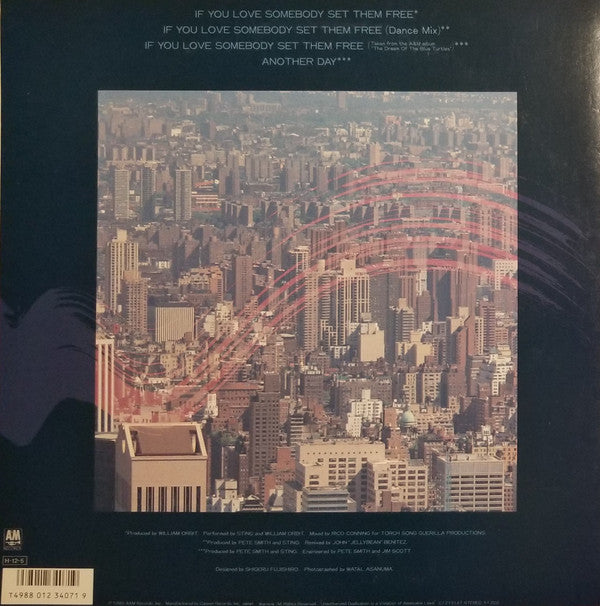 Sting - If You Love Somebody Set Them Free (Vinyl, 12", 45 RPM) Very Good (VG) / Very Good Plus (VG+)