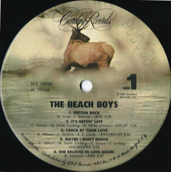 The Beach Boys - The Beach Boys (Vinyl, LP, Album, Stereo) Very Good (VG) / Very Good (VG)