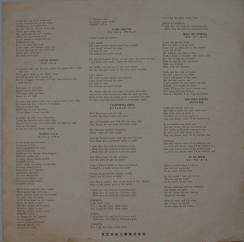 The Beach Boys - The Beach Boys Deluxe (Vinyl, LP, Compilation) Very Good (VG) / Very Good (VG)
