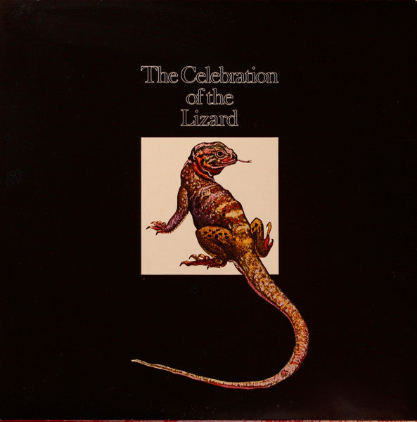The Doors - Waiting For The Sun (Vinyl, LP, Album, Reissue, Stereo)