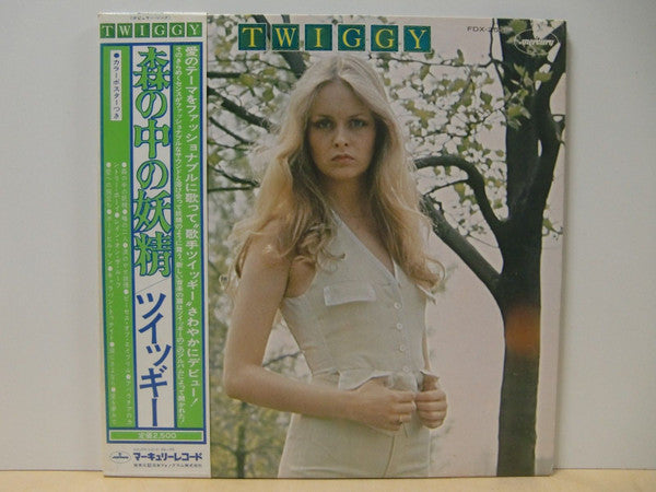 Twiggy (2) - Twiggy (Vinyl, LP, Album, Stereo) Very Good (VG) / Very Good (VG)