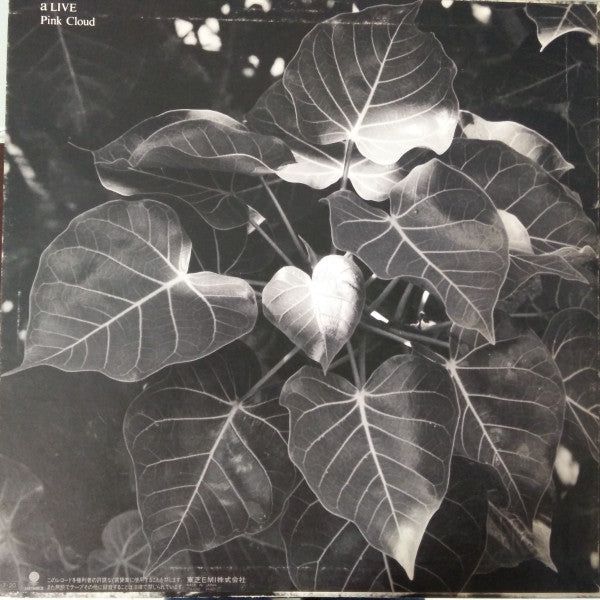 Pink Cloud (2) - Alive (Vinyl, 12", 45 RPM, Album, Stereo)