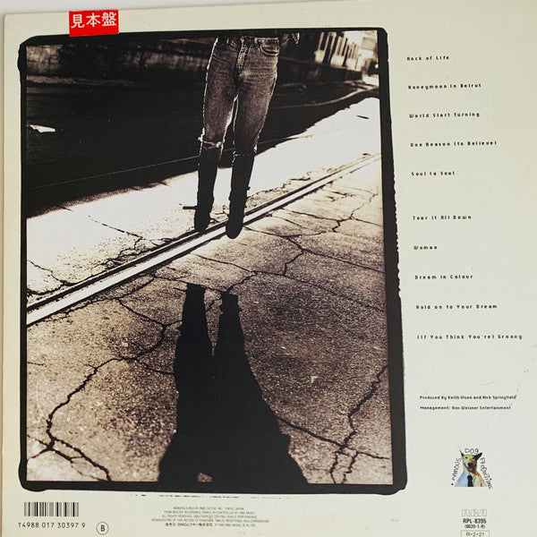 Rick Springfield - Rock Of Life (Vinyl, LP, Album, Promo, Stereo) Very Good Plus (VG+) / Good Plus (G+)
