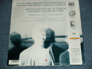 The Broadcasters (2) - 13 Ghosts (Vinyl, LP, Album, Promo) Very Good Plus (VG+) / Very Good Plus (VG+)