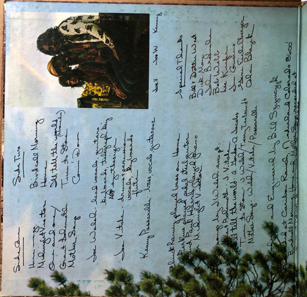 Joe Walsh - Barnstorm (Vinyl, LP, Album, Reissue) Very Good Plus (VG+) / Very Good (VG)