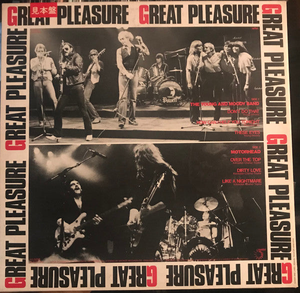 The Young & Moody Band - Great Pleasure (Vinyl, 12", EP, Promo) Near Mint (NM or M-) / Near Mint (NM or M-)