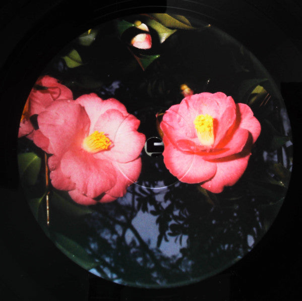 Ex (8) - Exhibition (Vinyl, LP, Album) Very Good Plus (VG+) / Near Mint (NM or M-)