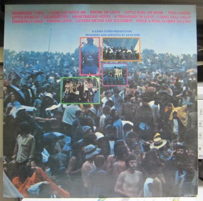 Sha Na Na - Rock & Roll Is Here To Stay (Vinyl, Stereo, LP) Very Good Plus (VG+) / Very Good (VG)