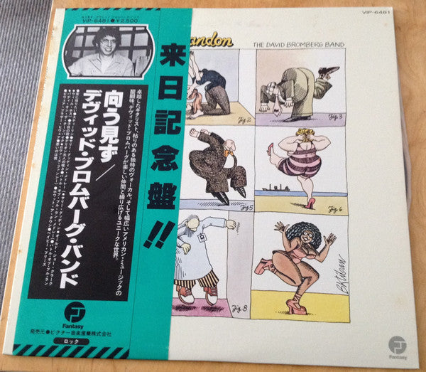 David Bromberg Band - Reckless Abandon (Vinyl, LP, Album, Promo) Near Mint (NM or M-) / Very Good (VG)