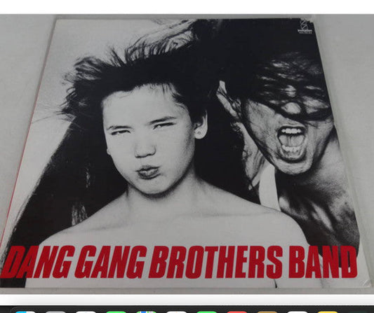 Dang Gang Brothers Band - Dang Gang Brothers Band (Vinyl, LP, Album) Good Plus (G+) / Good Plus (G+)