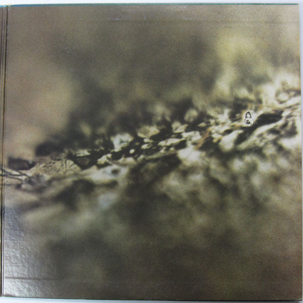 Tangerine Dream - Rubycon (Vinyl, LP, Album)