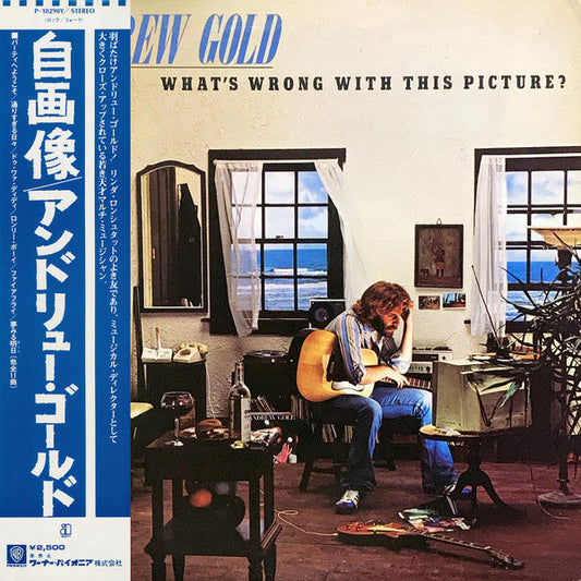 Andrew Gold - What's Wrong With This Picture? (Vinyl, LP, Album) Very Good Plus (VG+) / Very Good (VG)