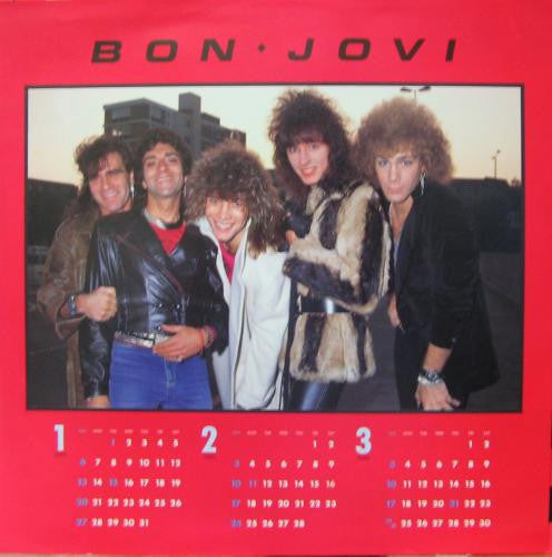 Bon Jovi - Burning For Love (Vinyl, 12", 45 RPM)