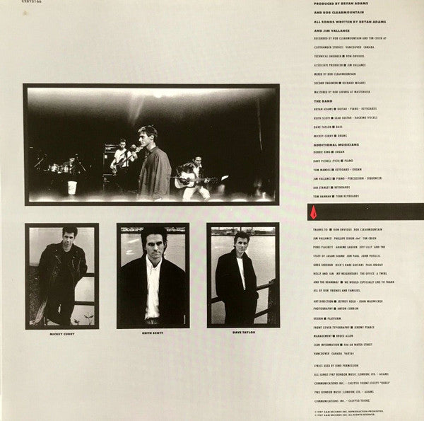 Bryan Adams - Into The Fire (Vinyl, LP, Album, Stereo)