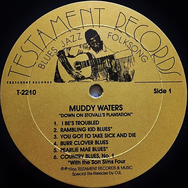 Muddy Waters - Down On Stovall's Plantation (Vinyl, LP, Reissue)