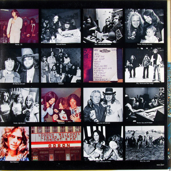 Lynyrd Skynyrd - Skynyrd's First And... Last (Vinyl, LP, Album) Good Plus (G+) / Very Good Plus (VG+)