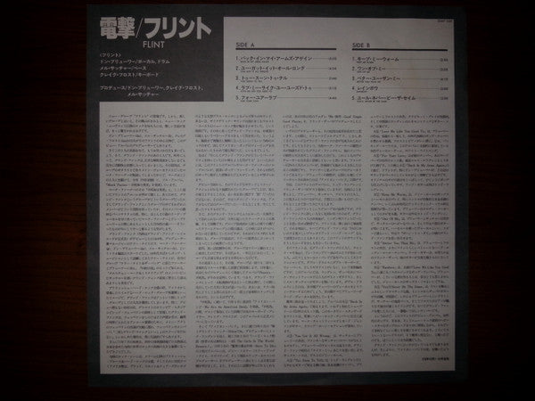 Flint (3) - Flint (Vinyl, LP, Album, Promo)