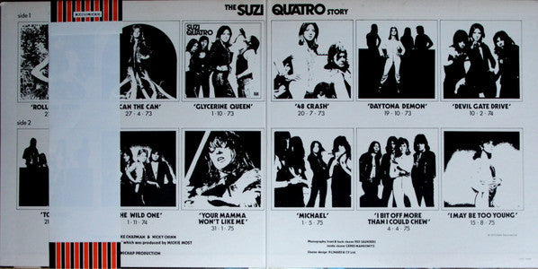 Suzi Quatro - The Suzi Quatro Story - Golden Hits (Vinyl, LP, Compi...